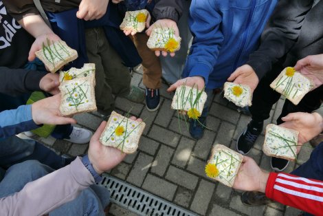 Rückblick: Entdeckungsreise Wiese – Schüler tauchen ab ins Grüne