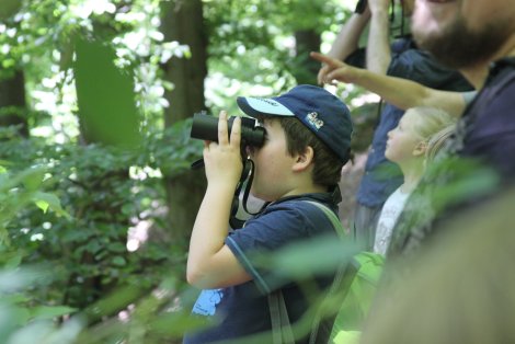 Rückblick Junge Naturwächter: Spechte – bunt und laut