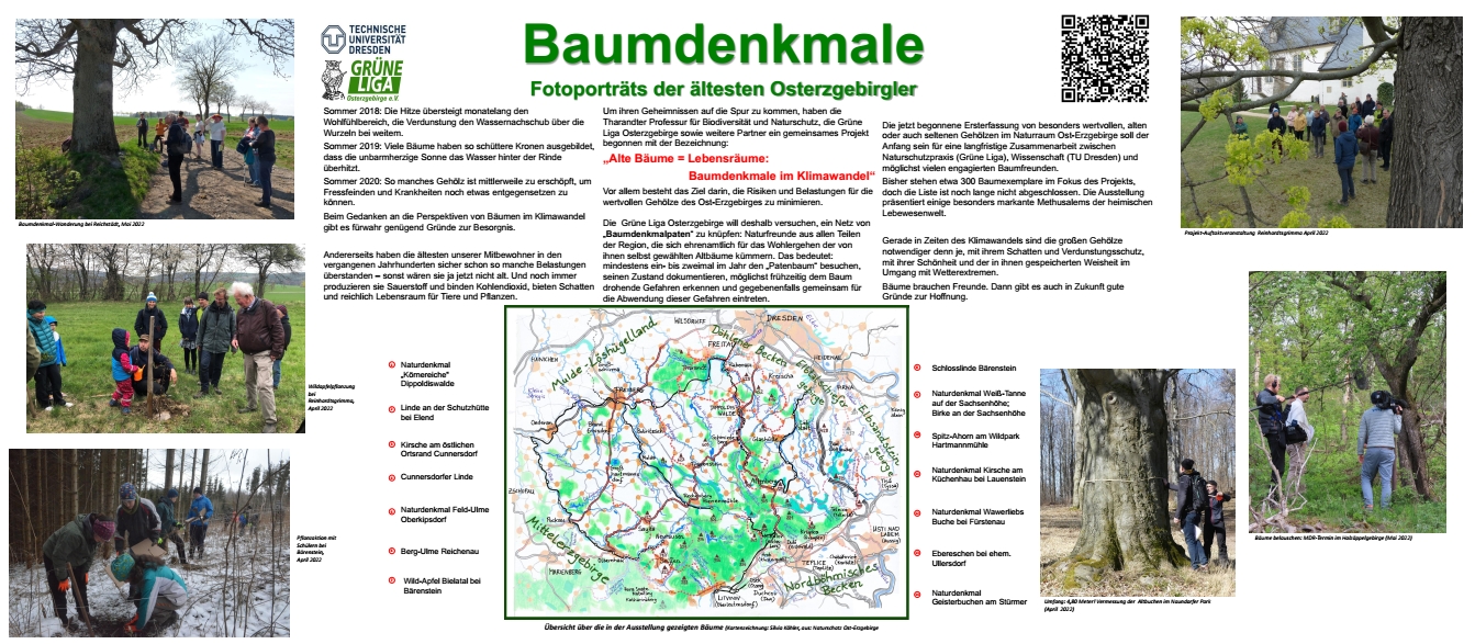 Sommerausstellung 2026 Baumdenkmale Fotoporträts der ältesten Osterzgebirgler – Ausstellungseröffnung Sommerausstellung 2026 Baumdenkmale Fotoporträts der ältesten Osterzgebirgler – Ausstellungseröffnung