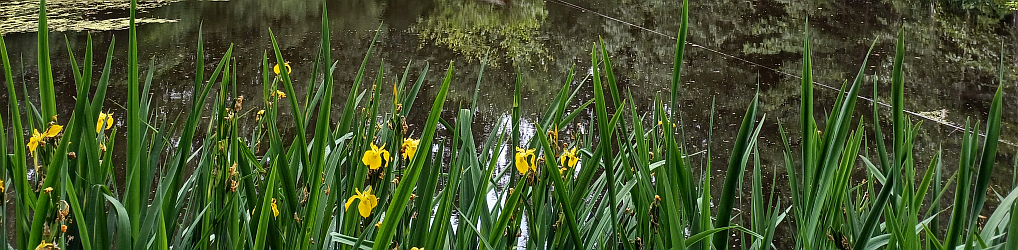 Natur im Osterzgebirge