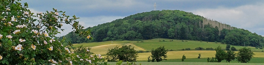 Natur im Osterzgebirge