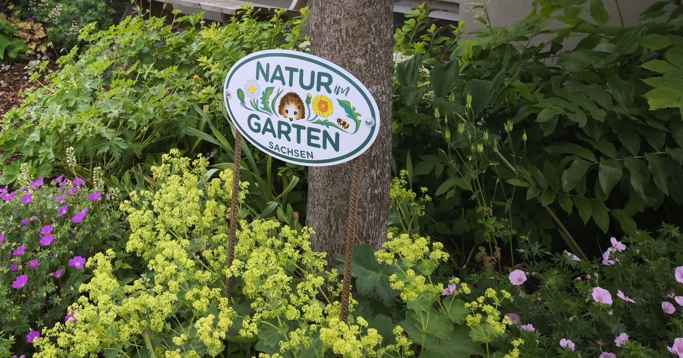 „Natur im Garten“ – Selbsterfahrungsbericht