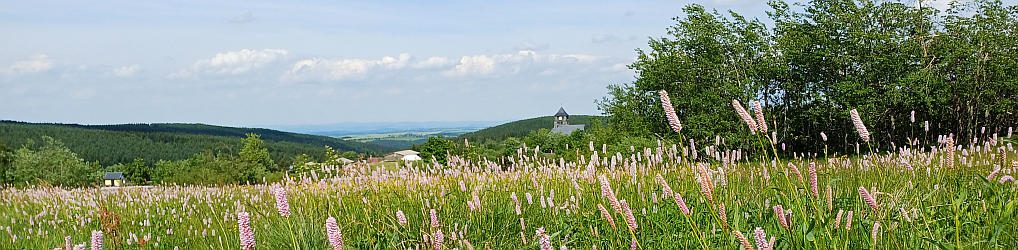 Natur im Osterzgebirge