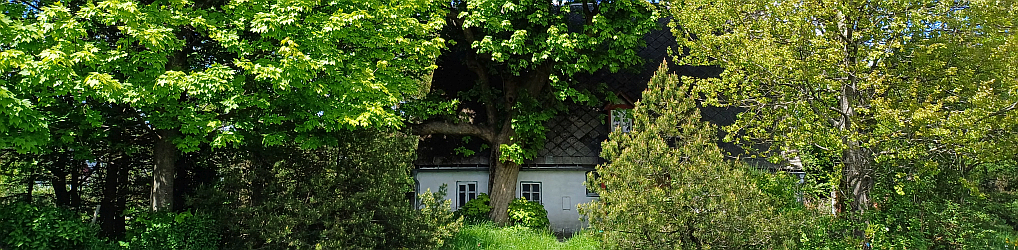 Natur im Osterzgebirge