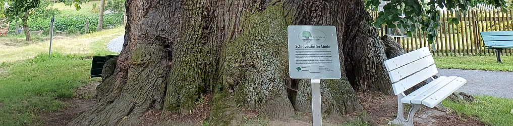 Natur im Osterzgebirge