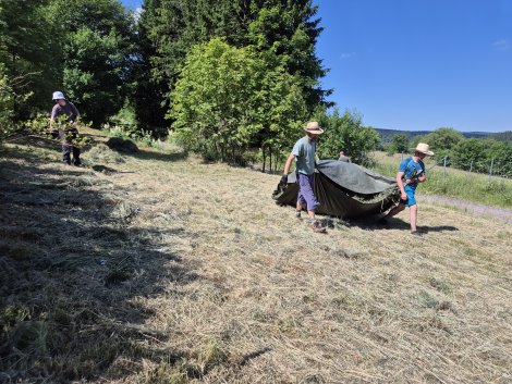 Rückschau auf Arbeitseinsatz für geschützte Bergwiesenflora