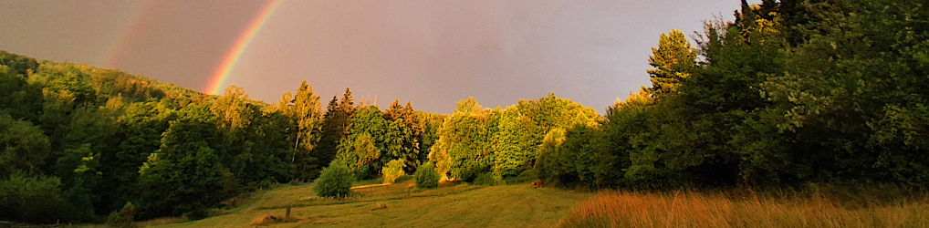 Natur im Osterzgebirge