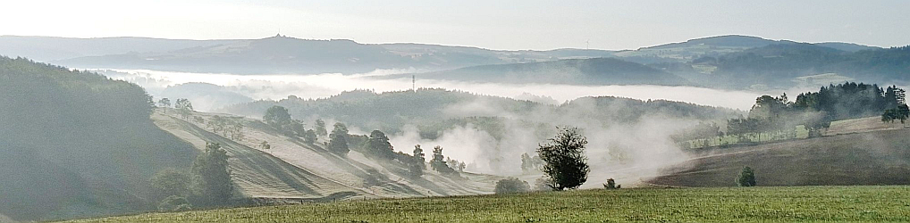 Natur im Osterzgebirge