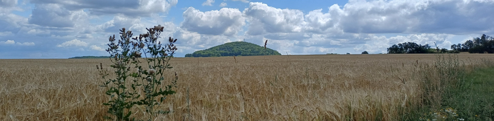 Natur im Osterzgebirge