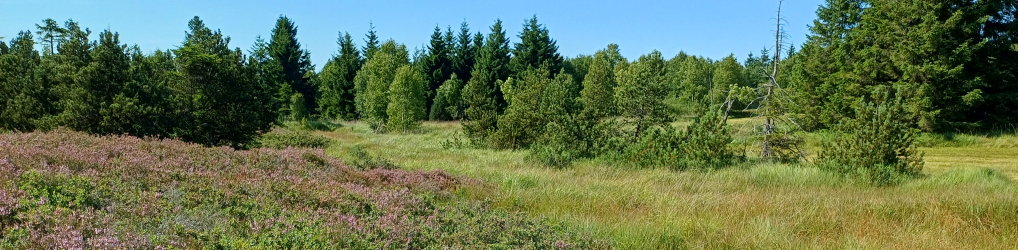 Natur im Osterzgebirge