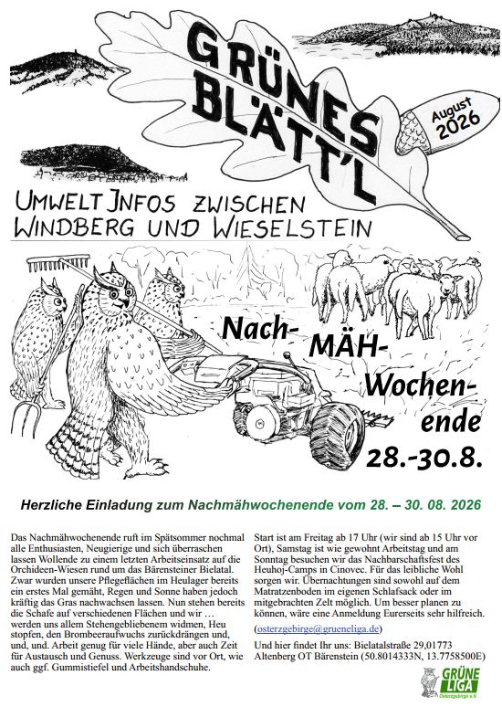 Grünes Blätt’l 08/2026 Grünes Blätt’l 08/2026