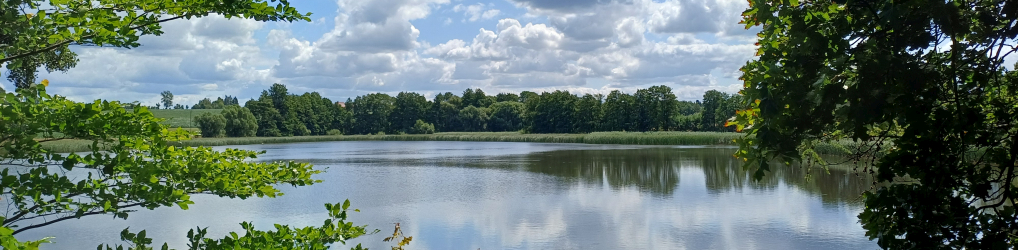 Natur im Osterzgebirge