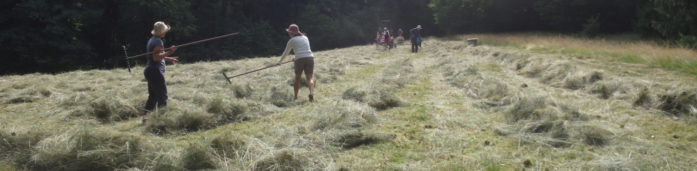 Natur im Osterzgebirge