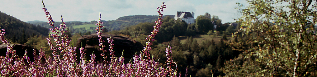 Natur im Osterzgebirge
