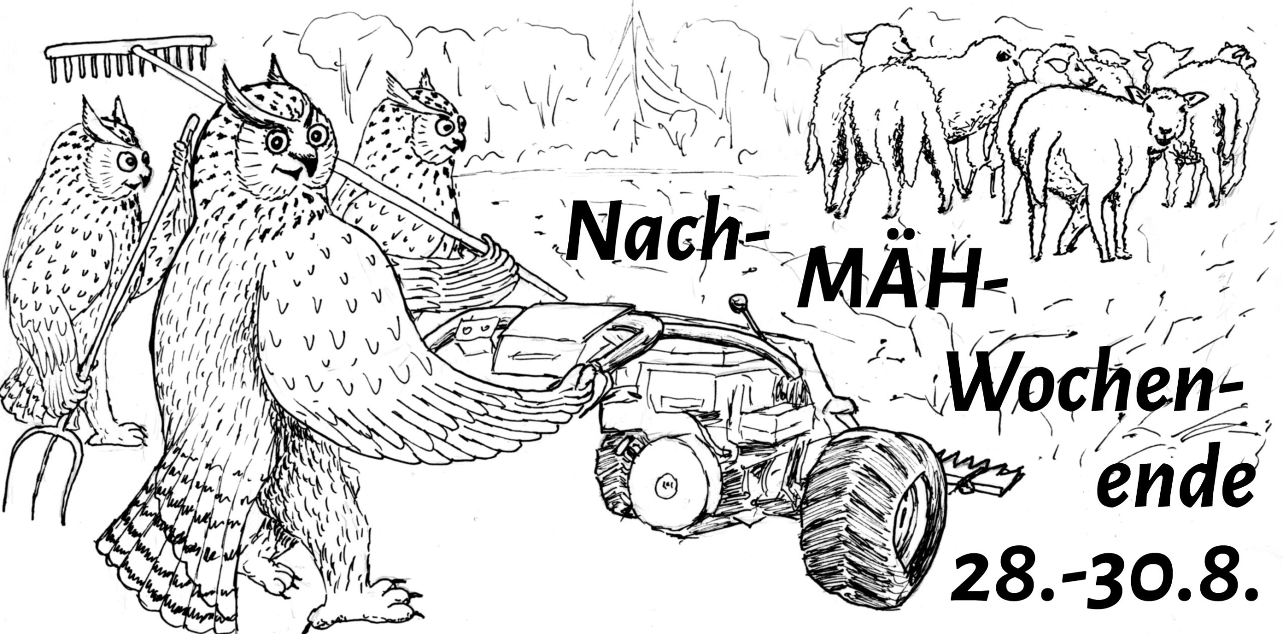 Herzliche Einladung zum Nachmähwochenende vom 28. – 30.08.2026