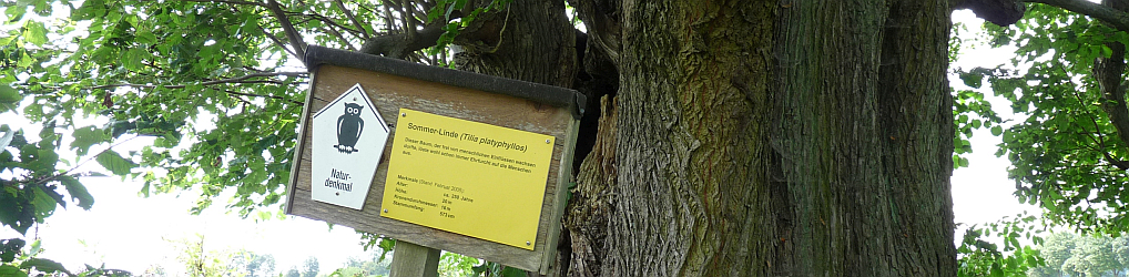 Natur im Osterzgebirge