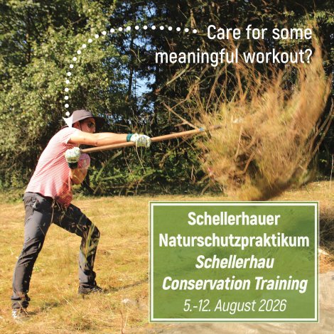 Schellerhauer Naturschutzpraktikum 2026 – Macht mit! Schellerhauer Naturschutzpraktikum 2026 – Macht mit!