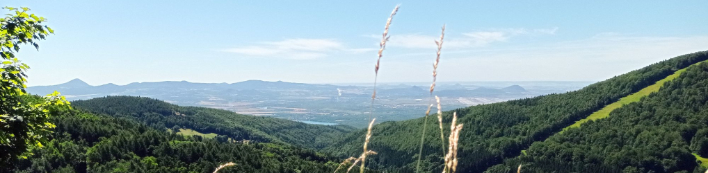 Natur im Osterzgebirge
