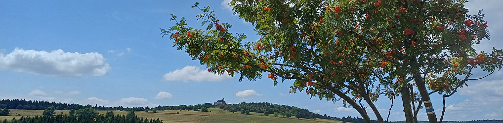 Natur im Osterzgebirge