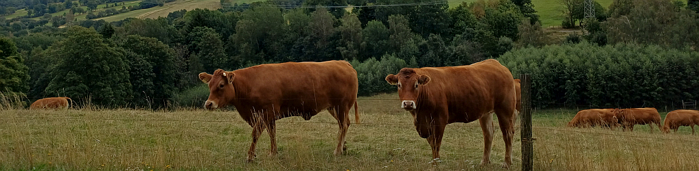 Natur im Osterzgebirge