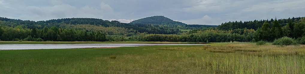 Natur im Osterzgebirge