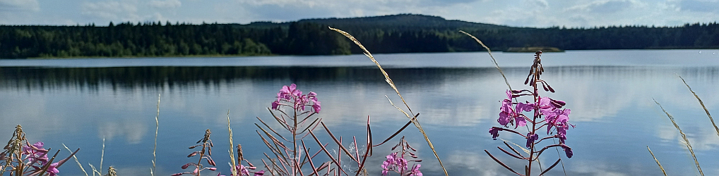 Natur im Osterzgebirge
