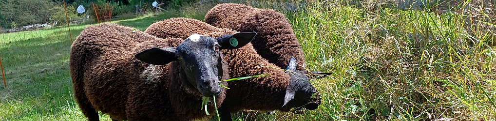 Natur im Osterzgebirge