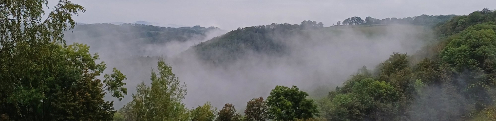 Natur im Osterzgebirge