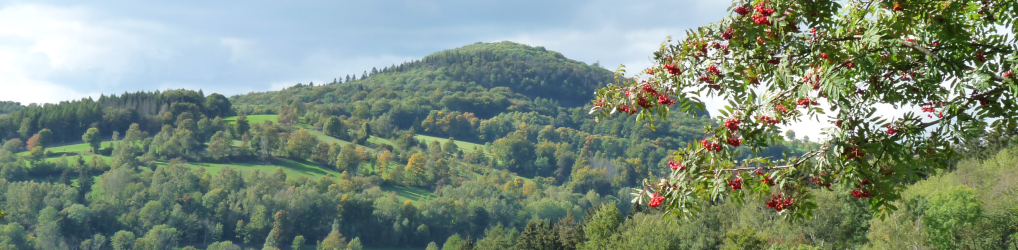 Natur im Osterzgebirge
