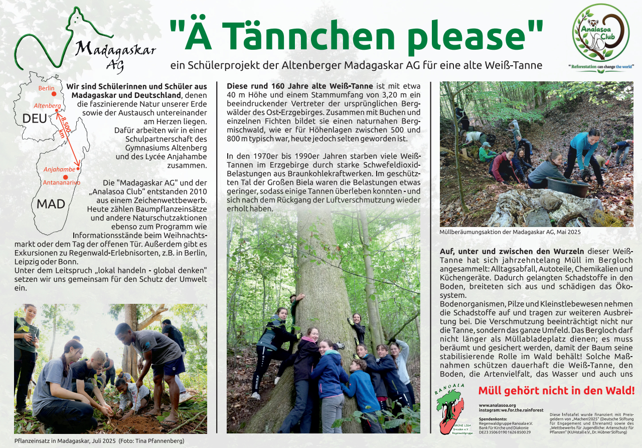 Weißtannenprojekt der Madagaskar AG Weißtannenprojekt der Madagaskar AG