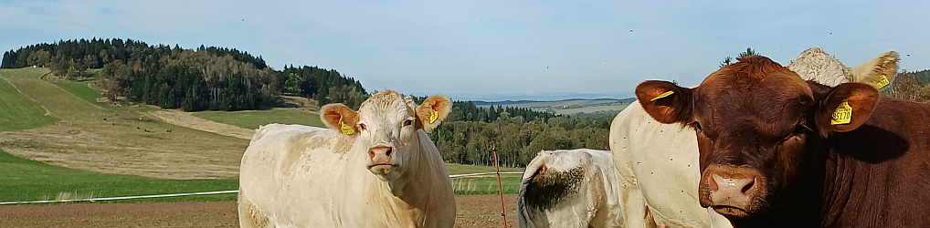 Natur im Osterzgebirge