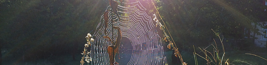 Natur im Osterzgebirge