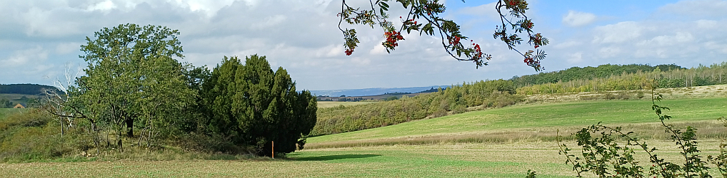 Natur im Osterzgebirge