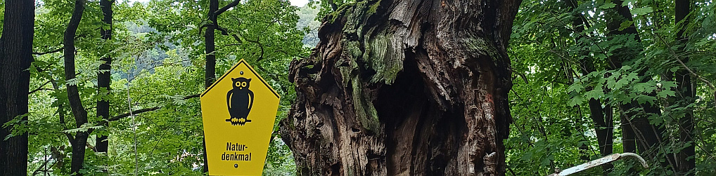 Natur im Osterzgebirge