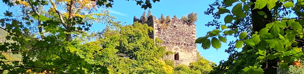 Natur im Osterzgebirge