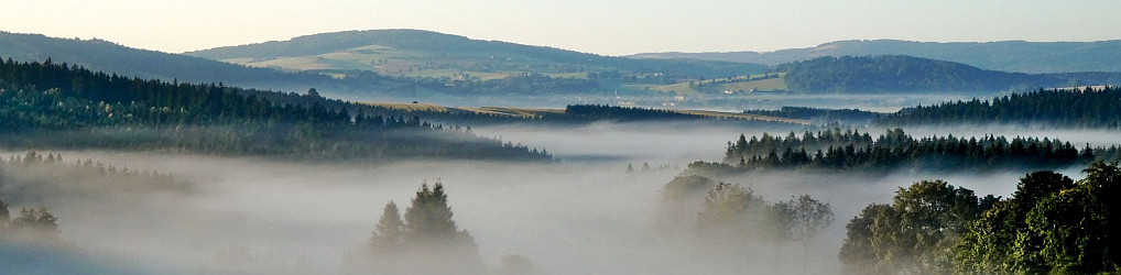 Natur im Osterzgebirge