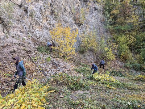 Lebensraum Steinbruch: Arbeitseinsatz schafft Platz