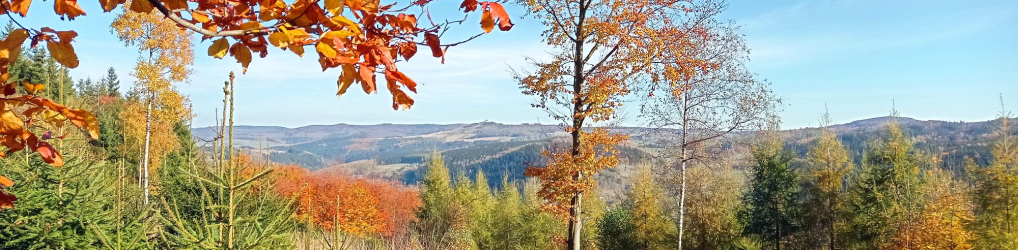Natur im Osterzgebirge