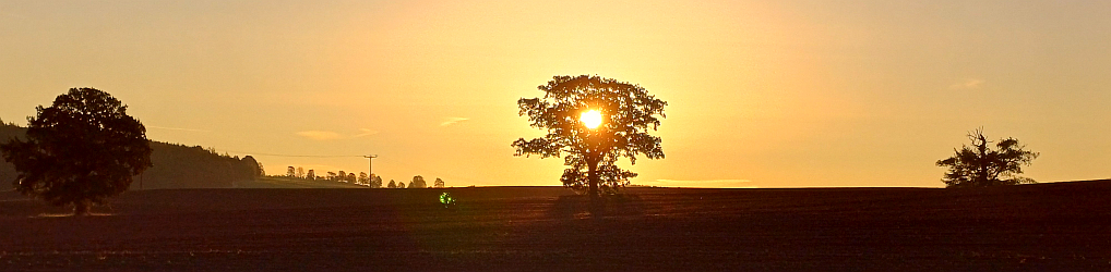 Natur im Osterzgebirge