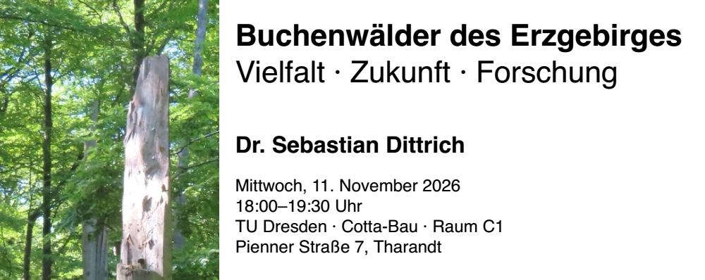Vortrag „Buchenwälder des Erzgebirges“ Vortrag „Buchenwälder des Erzgebirges“