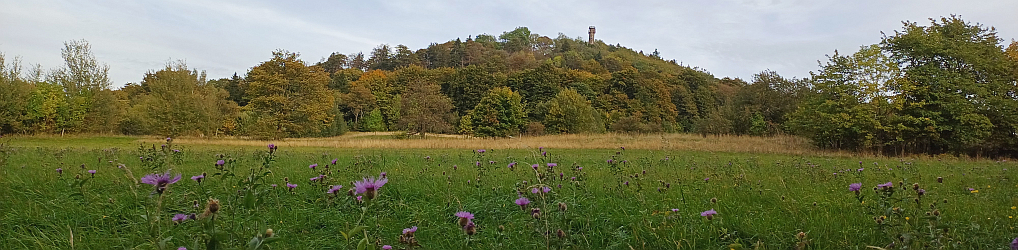 Natur im Osterzgebirge