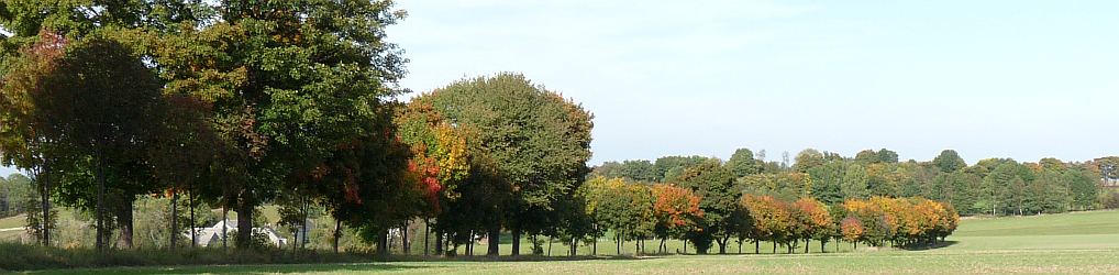 Natur im Osterzgebirge