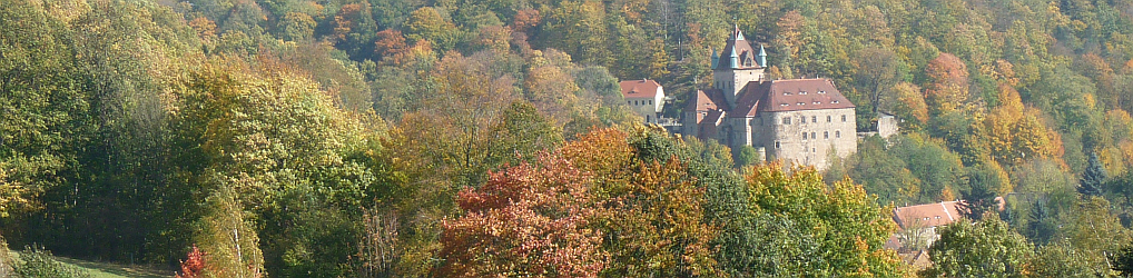 Natur im Osterzgebirge