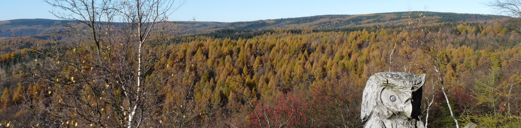 Natur im Osterzgebirge