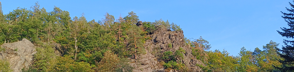 Natur im Osterzgebirge