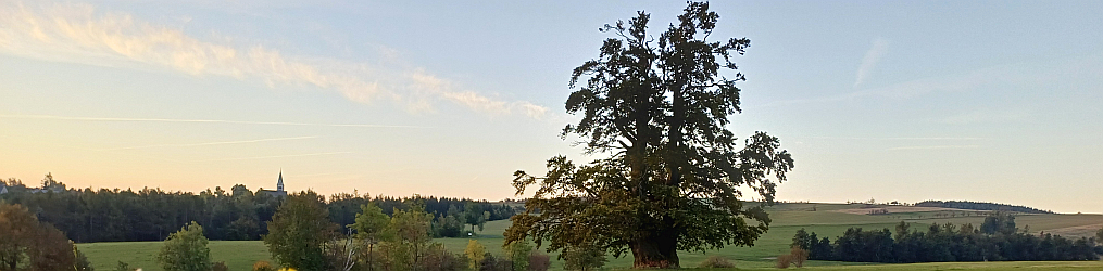 Natur im Osterzgebirge