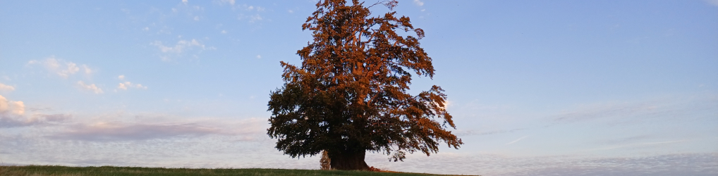 Natur im Osterzgebirge